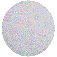 Wollen Vloerpads Wit, 2 stuks, 12 inch (305mm)