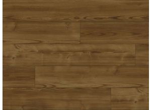 Aspecta Five Melbourne Elm Autumn 5362108